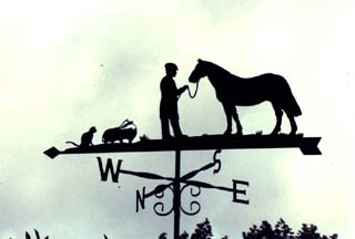 Vet on Farm weather vane